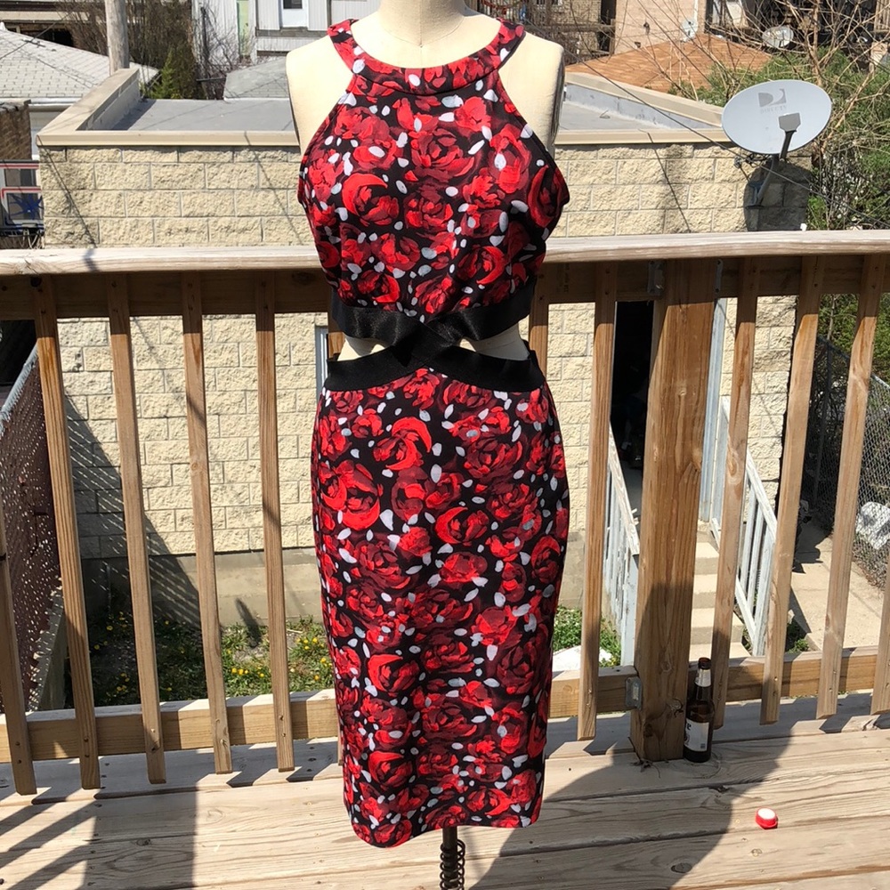 Bebe dress